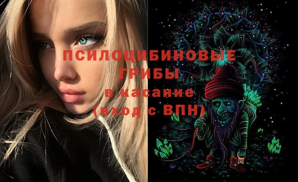 мяу мяу мука Вяземский