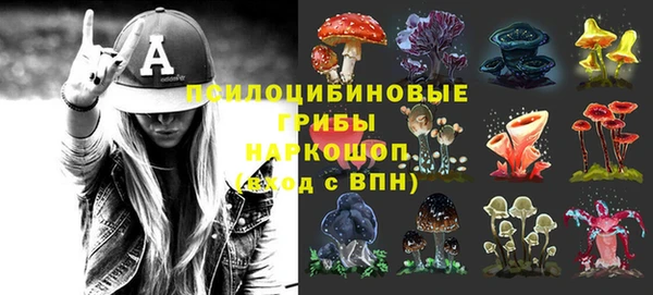 прущая мука Вязники