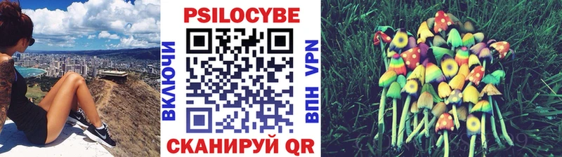 Галлюциногенные грибы Magic Shrooms  Дигора 